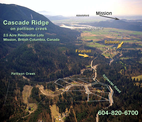 View of Cascade Ridge